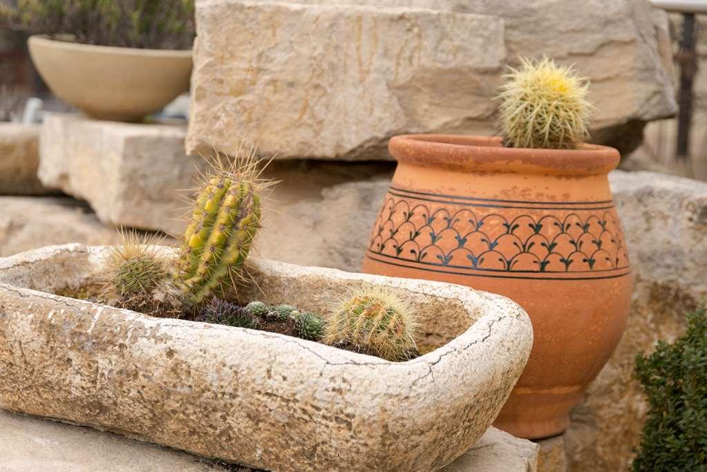The Originals City, Hotel Le Village Provencal, Aix-En-Provence Nord Pertuis Amenities foto